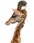 Giraffe II