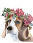Flower Crown Puppy