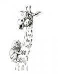 Giraffe IV