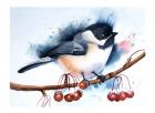 Chickadee