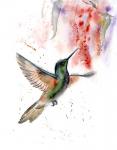 Hummingbird II