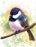 Chickadee II