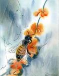 Bee III