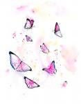 Butterflies I