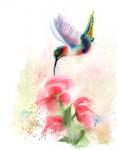 Red Flower Hummingbird