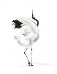 Dancing Bird I