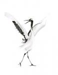 Dancing Bird II