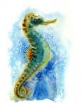 Seahorse I