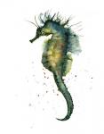 Seahorse II