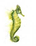 Seahorse III