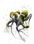 Octopus I