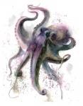 Octopus II