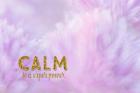 Calm is a Superpower