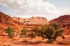 Capital Reef Utah