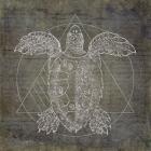Turtle Geometric Silver