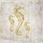 Seahorse Geometric Gold