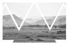 Cattle Country