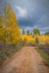 Stormy Road