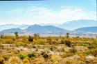 Utah Desert II