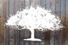 White Tree on Wood