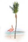 Flamingo in Paradise