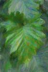 Tropical Leaves II