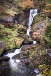 Black Forest Upper Falls