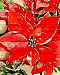 Poinsettia Red