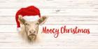 From Our Barn to Yours