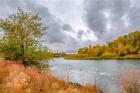 Snake River Autumn I