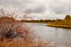 Snake River Autumn II