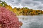 Snake River Autumn IV