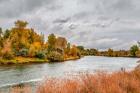 Snake River Autumn V