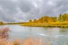 Snake River Autumn VI