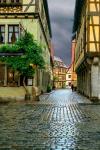 Rothenberg Rain