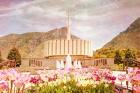 Provo Temple II