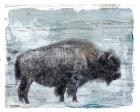 Winter Buffalo