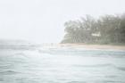 Misty Beach Walk