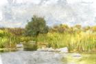 Marshy Wetlands No. 1