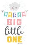 Dream Big Little One