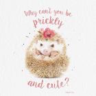 Prickly and Cute