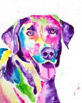 Colorful Black Lab