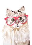 Cat with Glasses