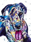 Colorful Great Dane