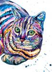 Colorful Tabby Cat