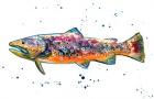 Colorful Trout