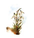Abstract Plants