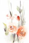 Apricot Sage
