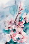 Aqua Blossoms
