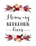 My Redeemer Lives